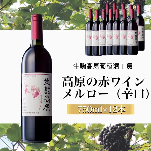 【高原の赤ワイン】メルロー　1ダース 国産ワイン メルローワイン 小林ワイン 1ダースワイン ギフトワイン