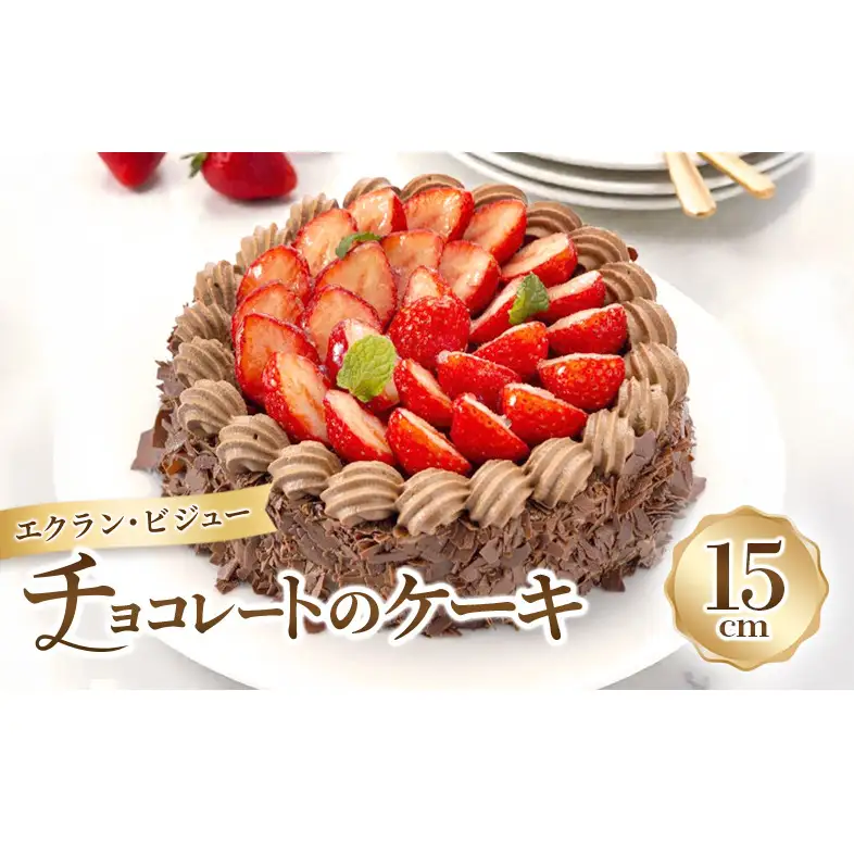 チョコレートケーキ エクラン・ビジュータルト チョコレートケーキ