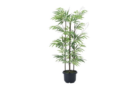 光の楽園　黒竹1.0【配送不可：北海道・沖縄・離島】 雑貨 日用品 植物 造花