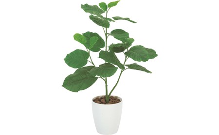 光の楽園　ウンベラータ80【配送不可：北海道・沖縄・離島】 雑貨 日用品 植物 造花