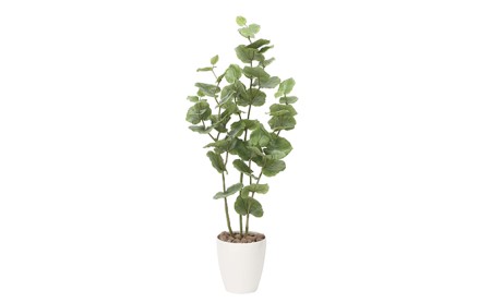 光の楽園　シーグレープ1.2【配送不可：北海道・沖縄・離島】 雑貨 日用品 植物 造花