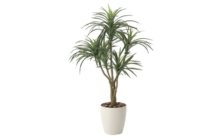光の楽園　ユッカ90【配送不可：北海道・沖縄・離島】 雑貨 日用品 植物 造花