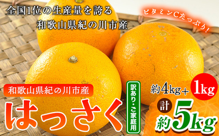 【訳あり/ご家庭用】八朔 4kg＋1kg  計約5kg サンファーム《2027年1月上旬-3月末頃より出荷予定》