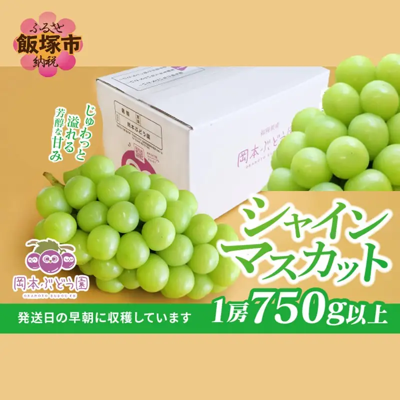 シャインマスカット 約750g【A5-542】