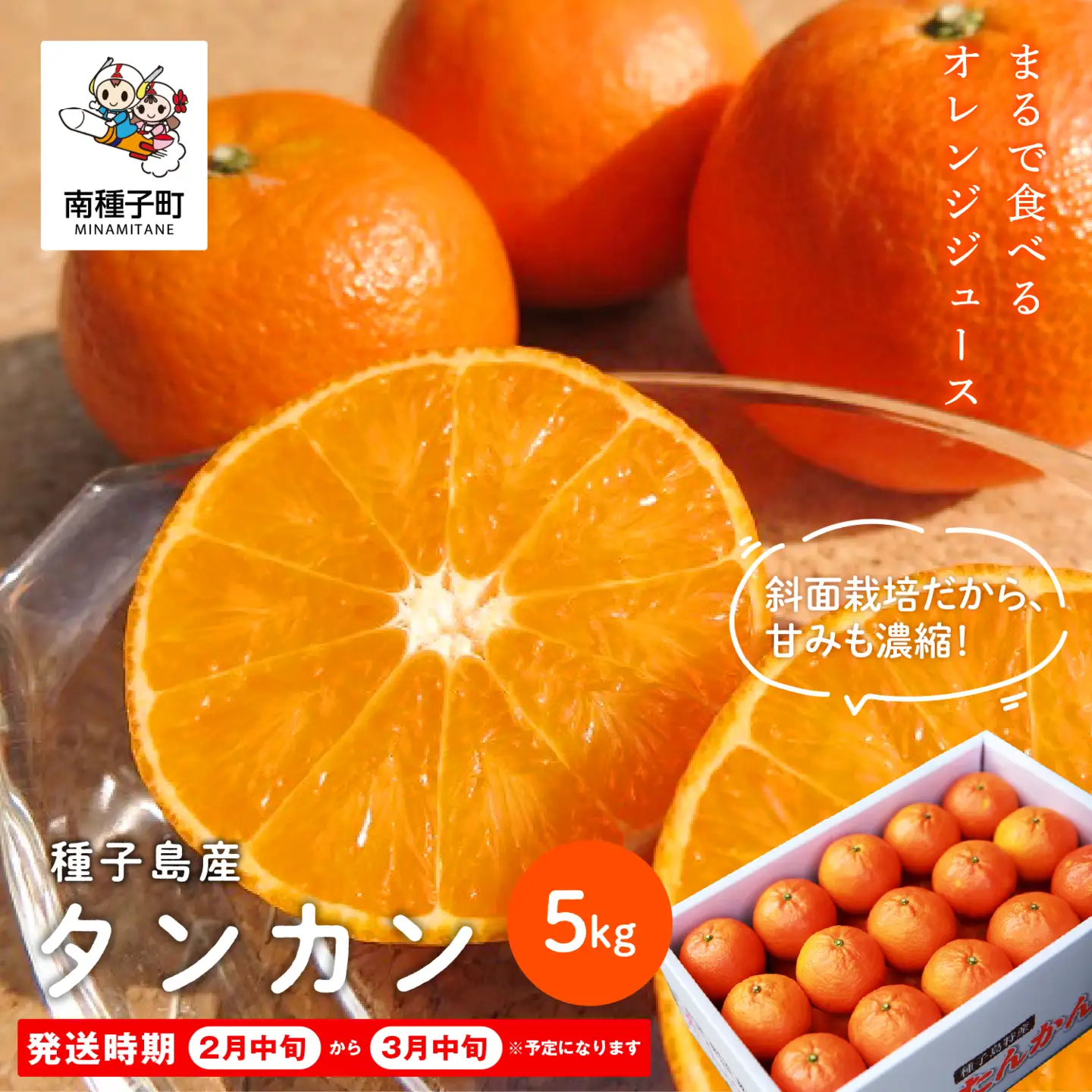 《 先行予約 》種子島産 タンカン 約5kg （24玉～30玉）【2027年2月中旬～3月中旬頃順次発送】【南種子町果樹部会】