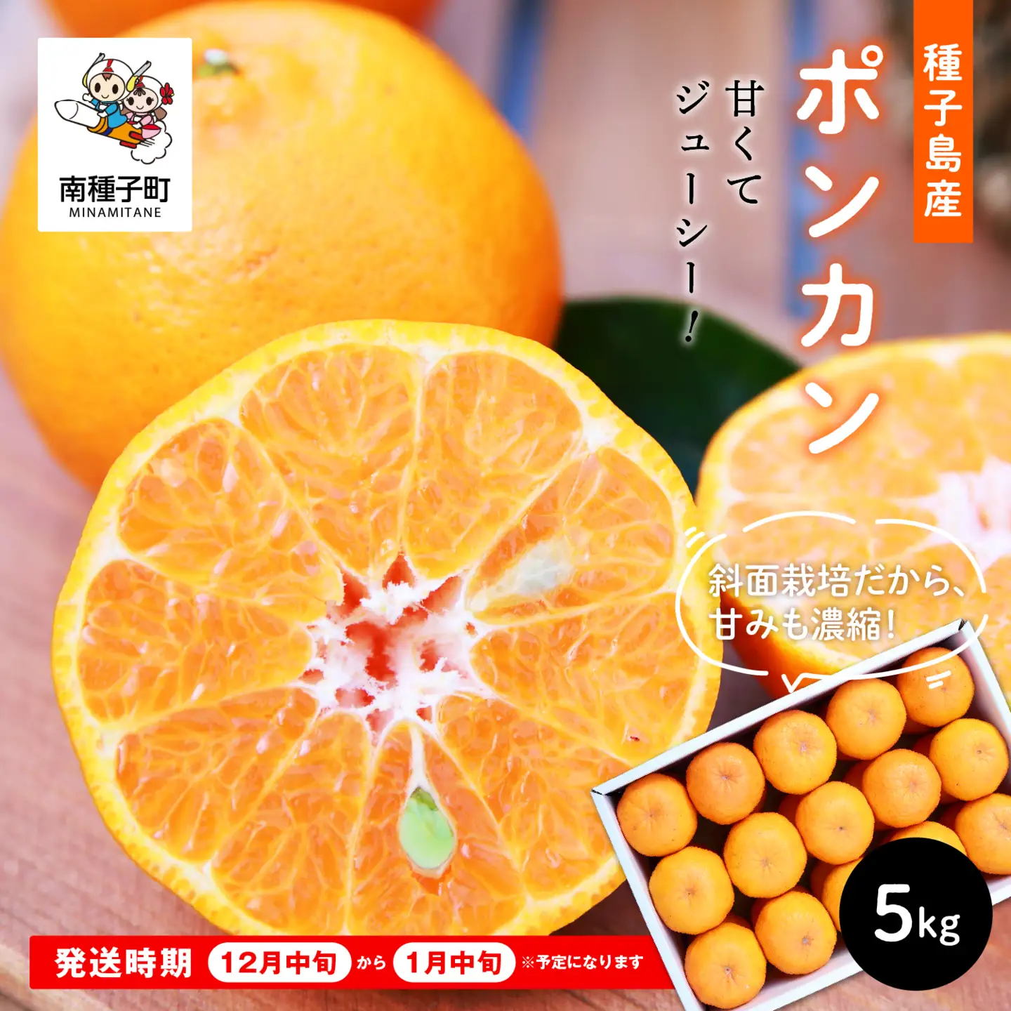 《 先行予約 》 種子島産ポンカン約5kg （24玉～30玉）【2026年12月中旬頃～1月中旬頃順次発送 】【南種子町果樹部会】