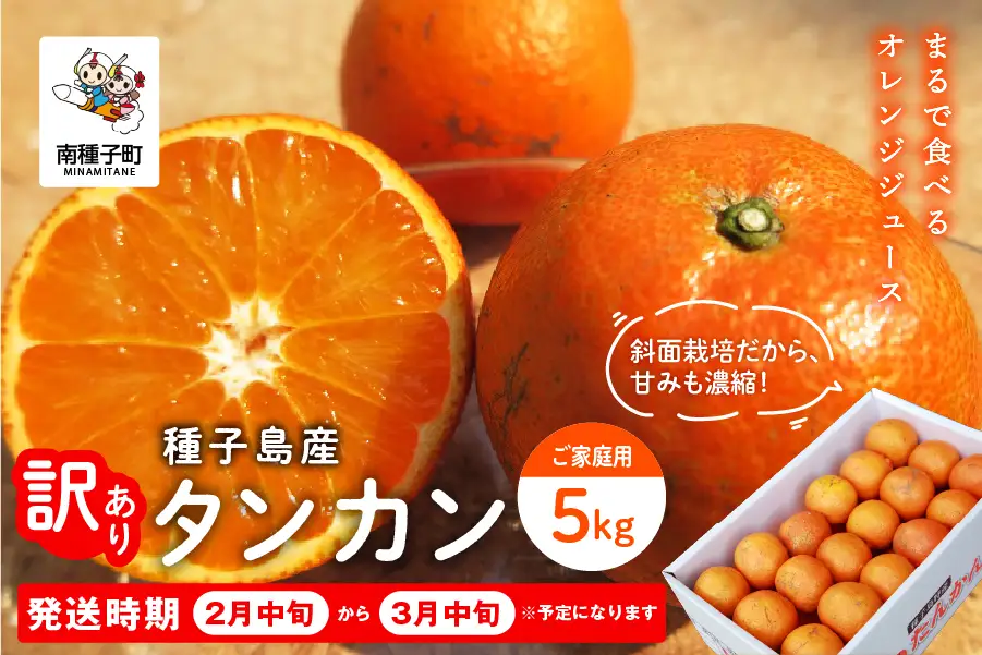 《 先行予約 》種子島産 タンカン (ご家庭用) 約5kg (24玉～36玉)【2027年2月中旬～3月中旬頃順次発送】【訳あり】【南種子町果樹部会】