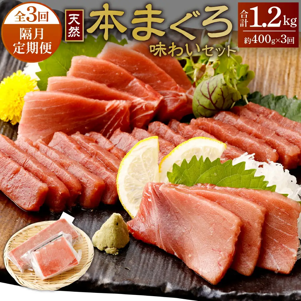 【定期便/計3回】天然本マグロ 400g（天身・中トロ） 【まぐろ】tk171