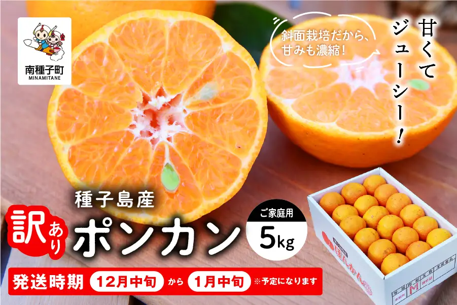 《 先行予約 》種子島産 ポンカン (ご家庭用) 約5kg (24玉～36玉)　【2026年12月中旬頃～1月中旬頃順次発送】【訳あり】【南種子町果樹部会】