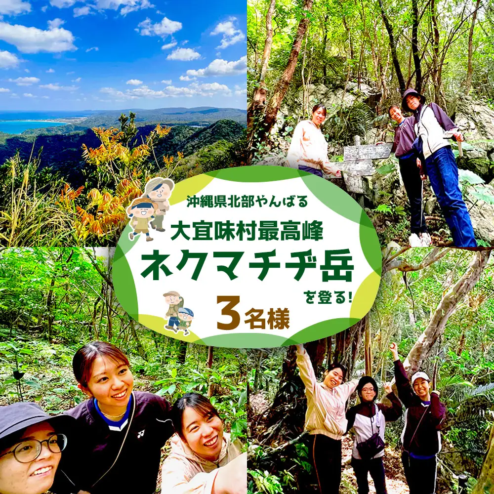 沖縄県北部やんばる・大宜味村最高峰ネクマチヂ岳を登る【3名様】