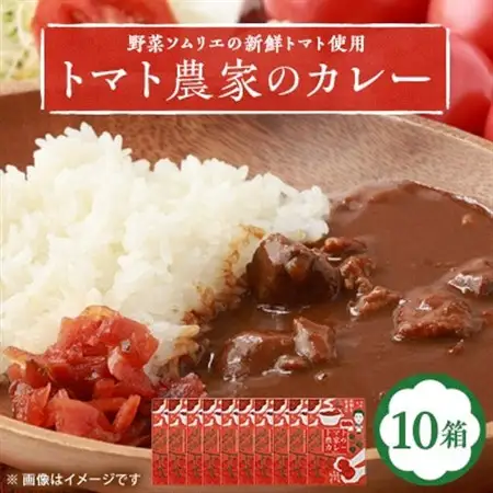 【大阪産】トマト農家のカレー10箱　簡単便利でとってもおいしいあると便利な一品/保存食にも便利_惣菜・加工品 カレー  _【1316538】