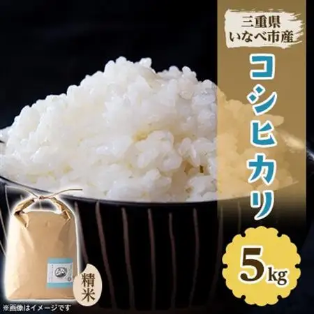 令和8年産　特別栽培米コシヒカリ 5kg【1431741】