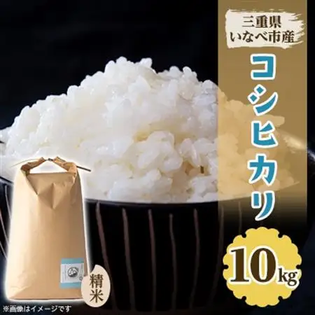 令和8年産　特別栽培米コシヒカリ 10kg【1431742】