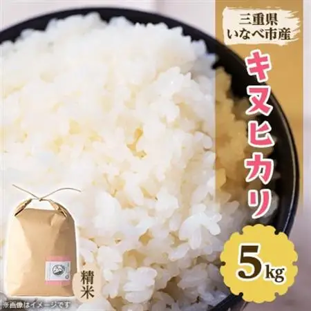 令和8年産　特別栽培米キヌヒカリ 5kg【1431743】