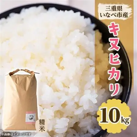 令和8年産　特別栽培米キヌヒカリ 10kg【1431744】