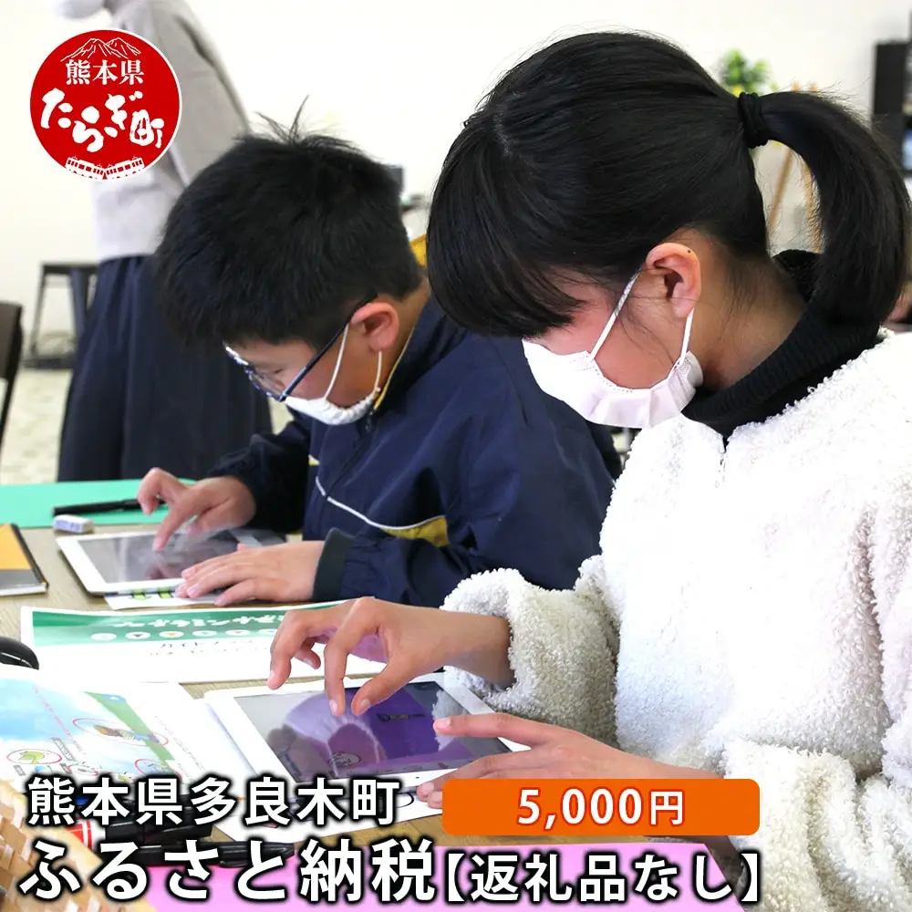 熊本県多良木町への寄附（返礼品はありません）【 ふるさと納税 熊本県 多良木町 応援 寄附 】028-0344-05