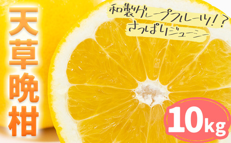 柑橘 天草晩柑 10kg|都呂々みかん 天草 晩柑