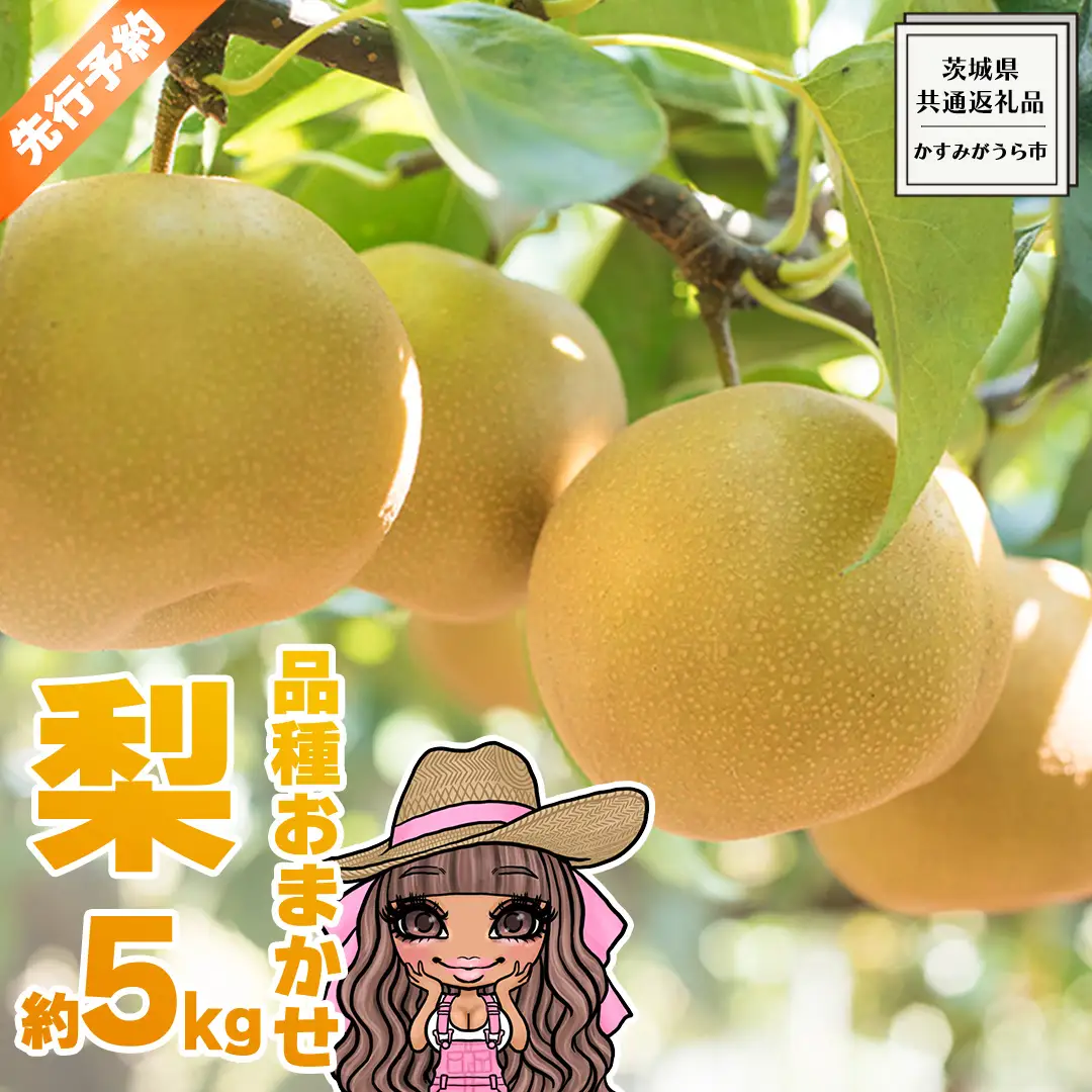 【 先行予約 】 品種おまかせ 採れたて 完熟天使の 甘梨 約 5kg （ 茨城県共通返礼品： かすみがうら市 ） 【 2026年8月中旬頃発送 】
