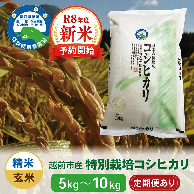 【令和8年度新米 玄米】特別栽培 越前市産コシヒカリ 10kg