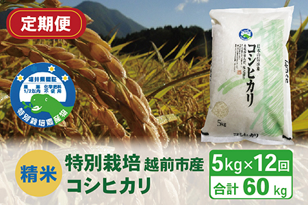 【定期便12回】（令和6年度新米 精米）特別栽培 越前市産コシヒカリ 5kg×12回