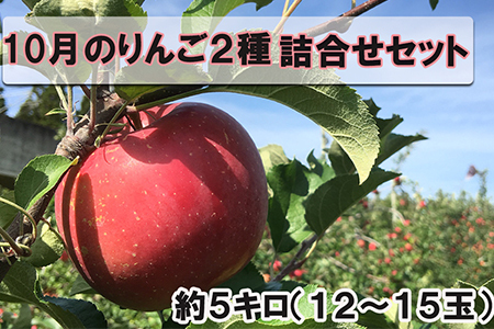10月りんご２種詰め合わせセット 約5kg （12～15玉）　【1705】