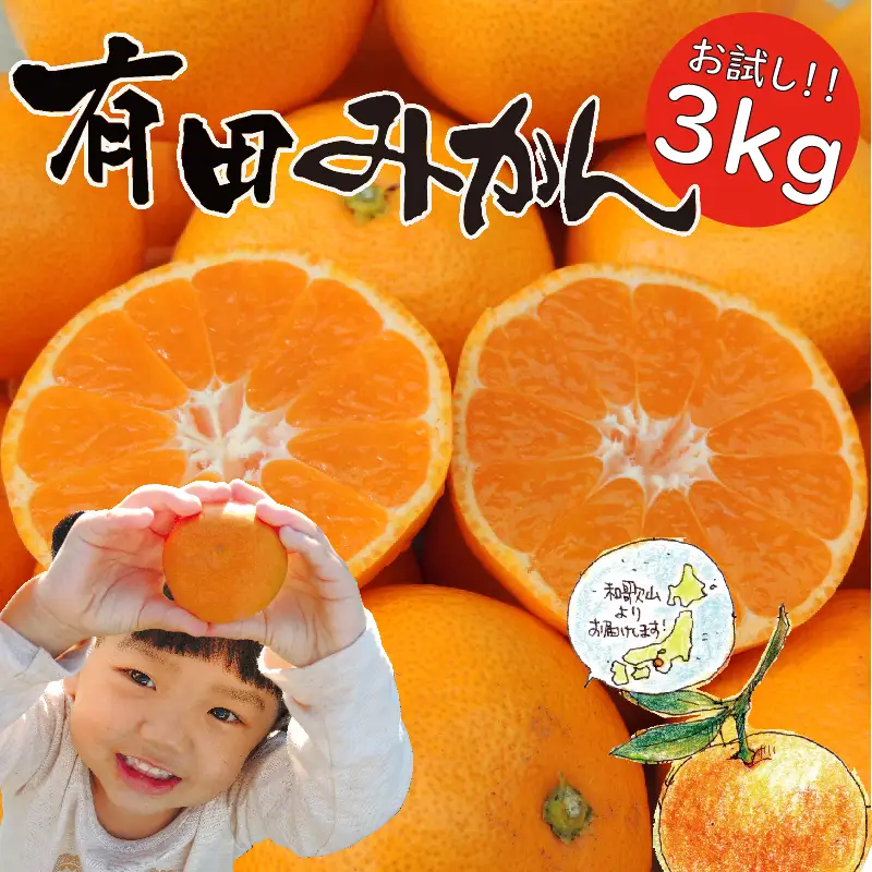 「はじめまして 有田みかん（和歌山県湯浅町産）」 お試し 約3kg ／ORYY推奨商品_DA6101n