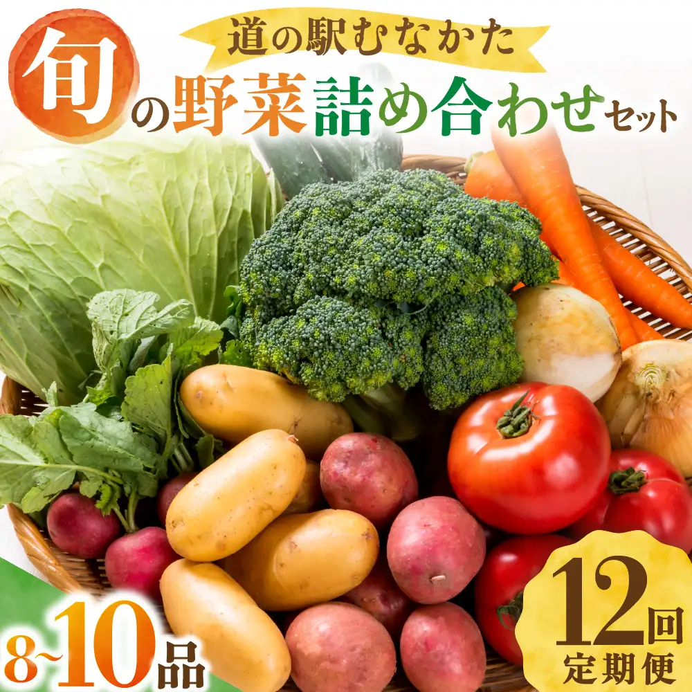 【定期便／年12回／毎月お届け】【道の駅むなかた】 旬のお野菜詰合せセット_HB0124
