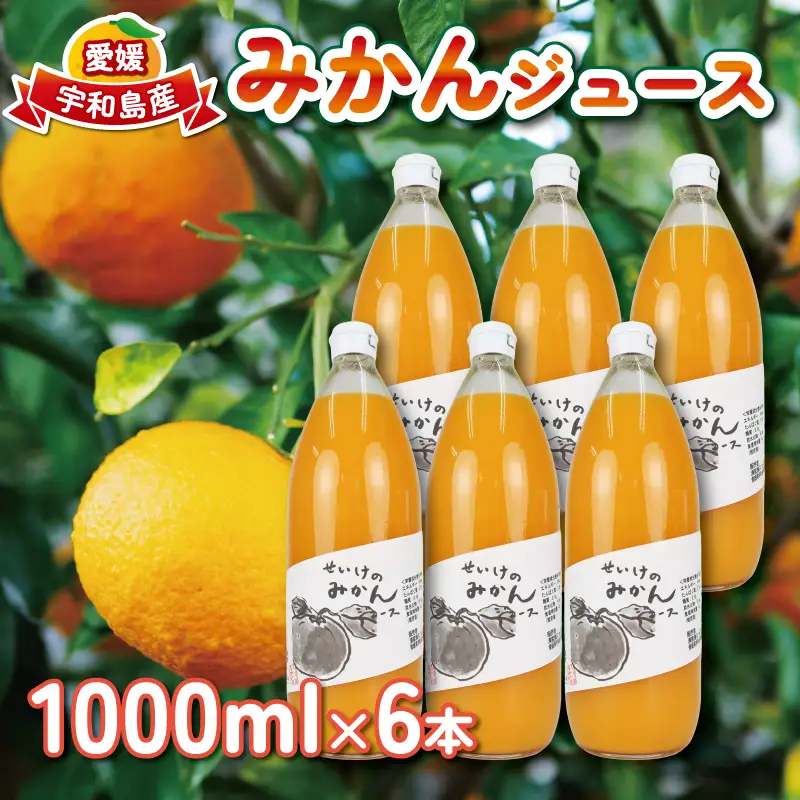みかん ジュース 1,000ml×6本 清家 ジュース H028-170002