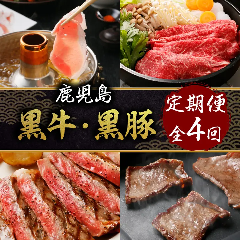 鹿児島 黒牛 ・ 黒豚 定期便 （ 全4回 ） K127-T01 肉 豚肉 牛肉 冷凍