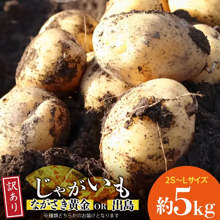 BH050 じゃがいも 訳あり ながさき黄金 出島 約5kg