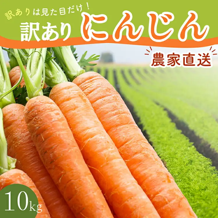 BH052 人参 訳あり 堀農園のこだわり人参 約10kg