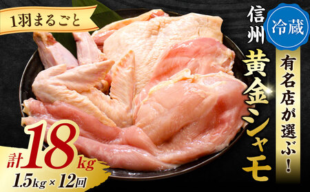 【１２回定期便 】朝びき！信州黄金シャモ1羽まるごとセット（冷蔵）　地鶏