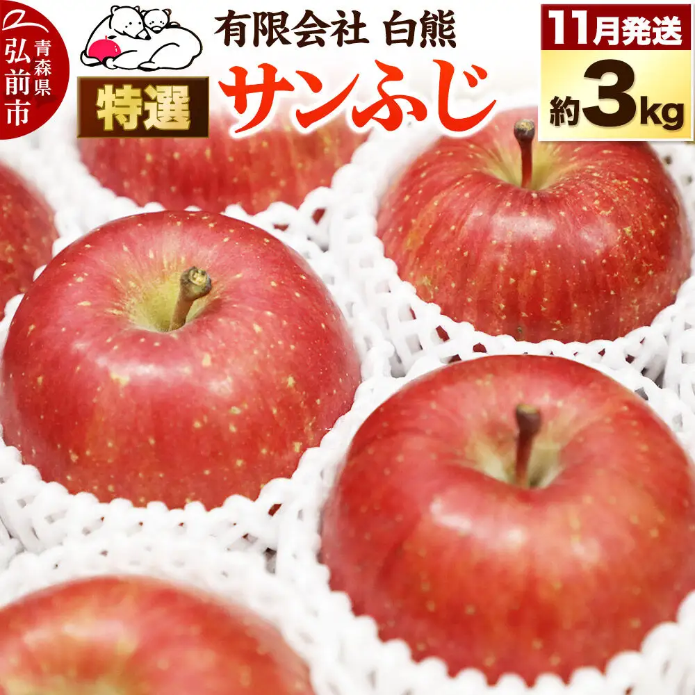 【26年11月下旬発送】りんご 特選 白熊 サンふじ 絆 約3kg（9～12玉程度）糖度13度 先行受付