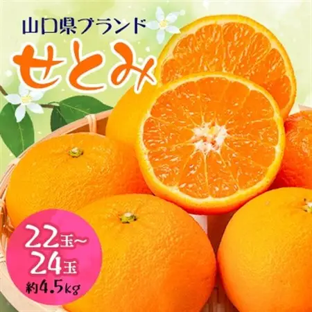 【山口県ブランド】せとみ　22～24玉(約4.5kg)_果物・フルーツ  柑橘 _【1432238】