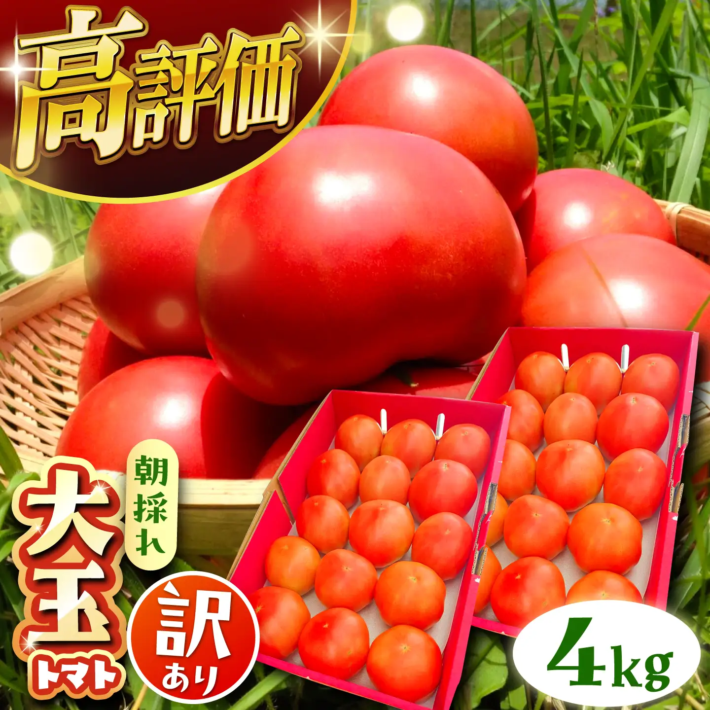 【先行予約】訳あり大玉トマト 4kg / 恵那市 / クリエイティブファーマーズ [AUAH016]