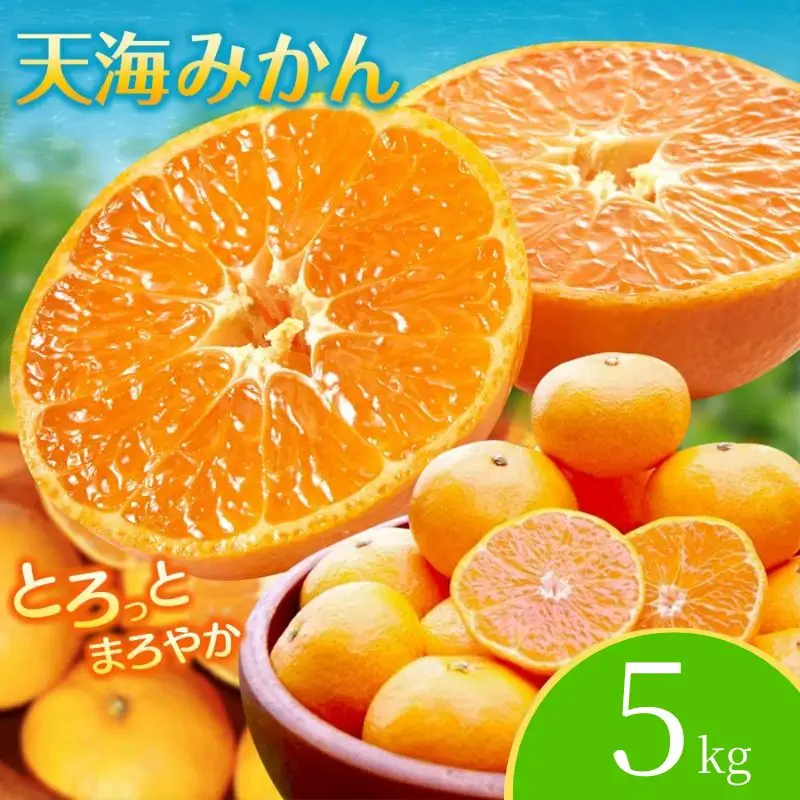 【みかん】宮川早生 完熟早生みかん 5kg 【nak006-1】