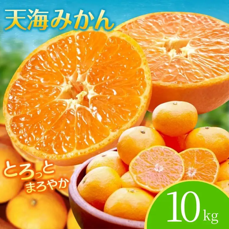 【先行予約】完熟早生みかん　宮川早生１０kg※2026年12月から順次発送予定※ 【期間限定・12/20まで受付】/ 和歌山県 ミカン フルーツ 果物 柑橘 田辺市 【nak007-1】