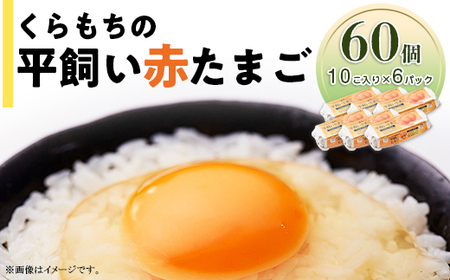 357 たまご 60個 6パック 小分け 新鮮 赤 玉子 卵 タマゴ