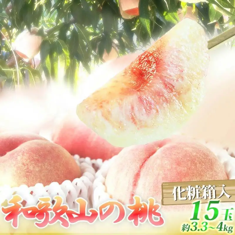紀州和歌山産の桃 15玉　化粧箱入［2027年6月下旬より順次発送］［UT97］