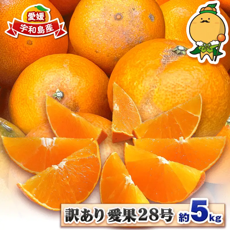 【紅まどんなと同品種】 訳あり まどんな 愛果28号 5kg 中井屋 みかん B015-173001