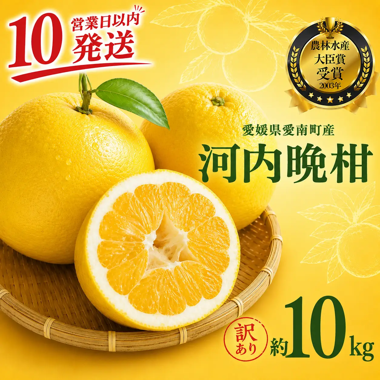【10営業日以内発送】 【訳あり】 河内晩柑 9kg + 傷み保証 約1kg 計10kg 愛南ゴールド みかん フルーツ 愛媛 愛南 吉本農園