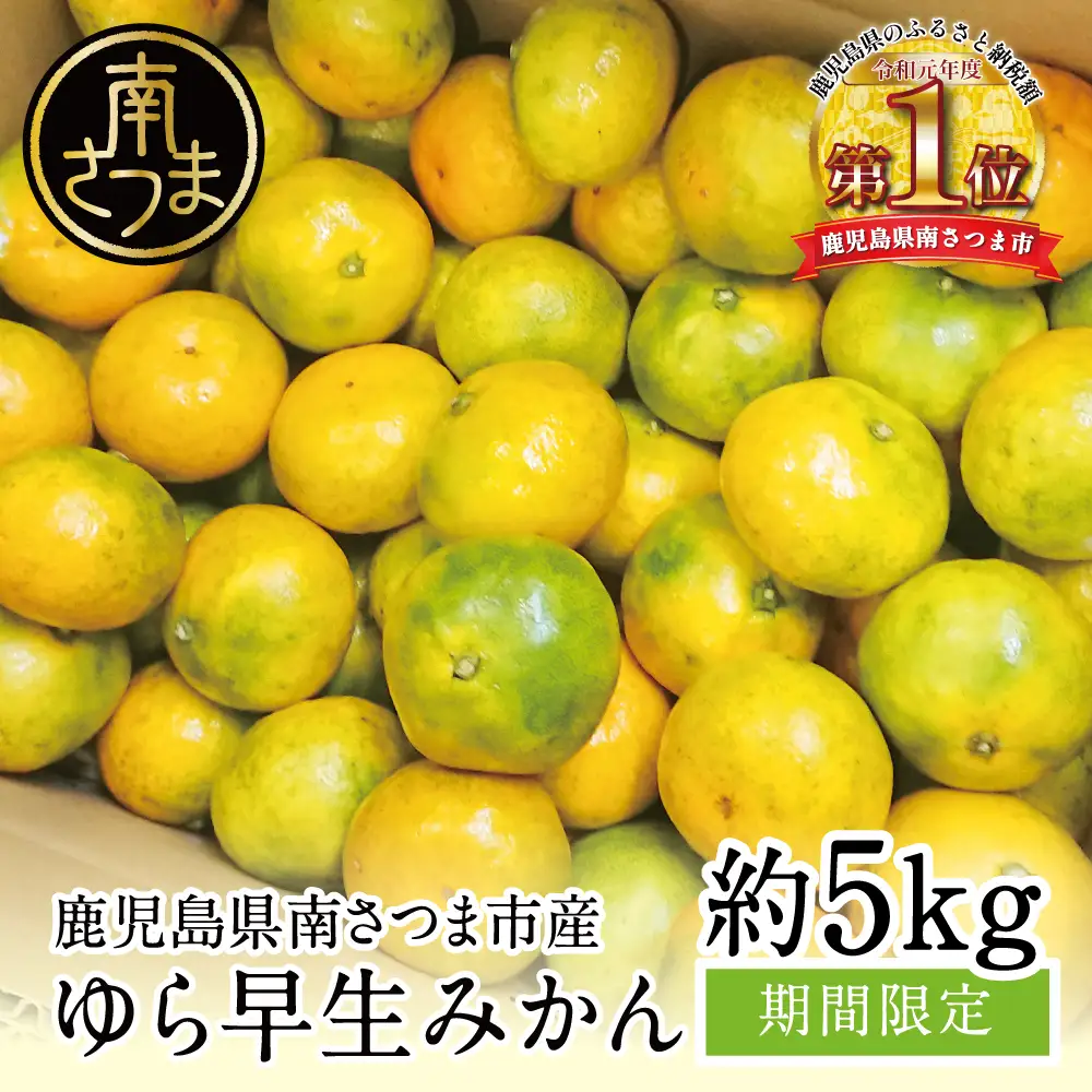【先行受付：9月発送開始】鹿児島県産 ゆら早生みかん 約5kg ≪ 期間限定 ≫ 先行予約 柑橘 くだもの フルーツ 果実 みかん ミカン 蜜柑 温州みかん 極早生 わせみかん 甘味 ジューシー 鹿児島県南さつま市産 国産 国内産 JA南さつま