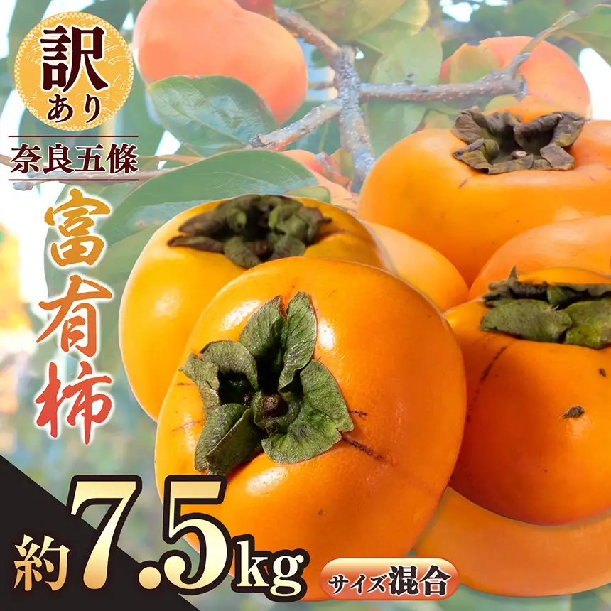 訳あり 富有柿 約7.5kg サイズおまかせ | フルーツ くだもの 果物 柿 かき カキ 奈良県 五條市