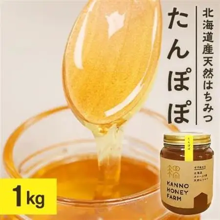北海道産天然はちみつ　たんぽぽ　1kg【配送不可地域：離島・沖縄県】【1056691】