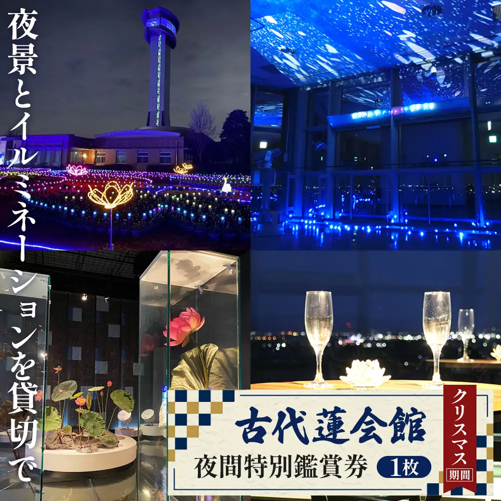 古代蓮会館・夜間特別鑑賞券（プレミアム）～夜景とイルミを貸切で！～ No.339
