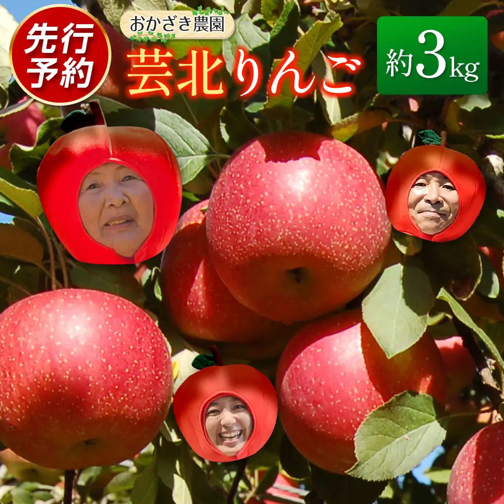 ≪10月中旬以降発送≫りんご 国産 3kg 農家直送 おかざき農園 芸北りんご 林檎 秋映 陽光 ぐんま名月 あいかの香り ふじ_OK097_001