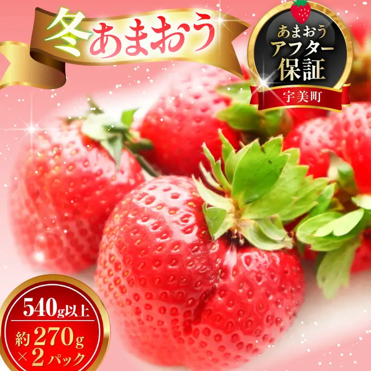 いちご あまおう 冬 540g以上 いちご
