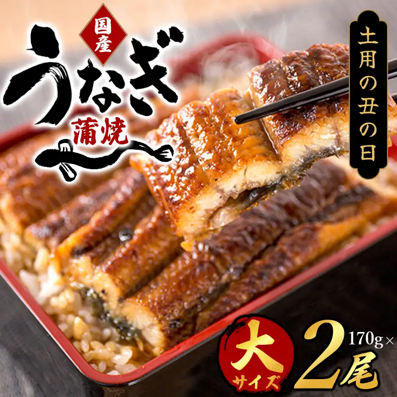 大型サイズ ふっくら柔らか 国産うなぎ蒲焼き 2尾【順次発送】【Z91091-uot302A-3】