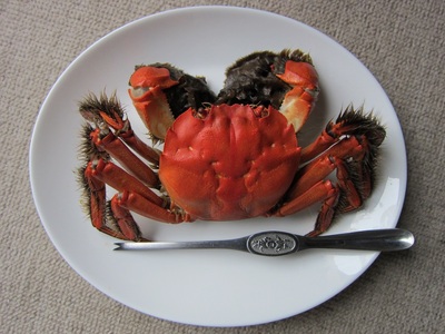 【訳あり：期間限定】天然活きモクズガニ 【小サイズ】 約1.5kg （15匹～22匹 オス・メス混合） ネットに入れてお届け 下処理不要 調理レシピ付き 　1049002