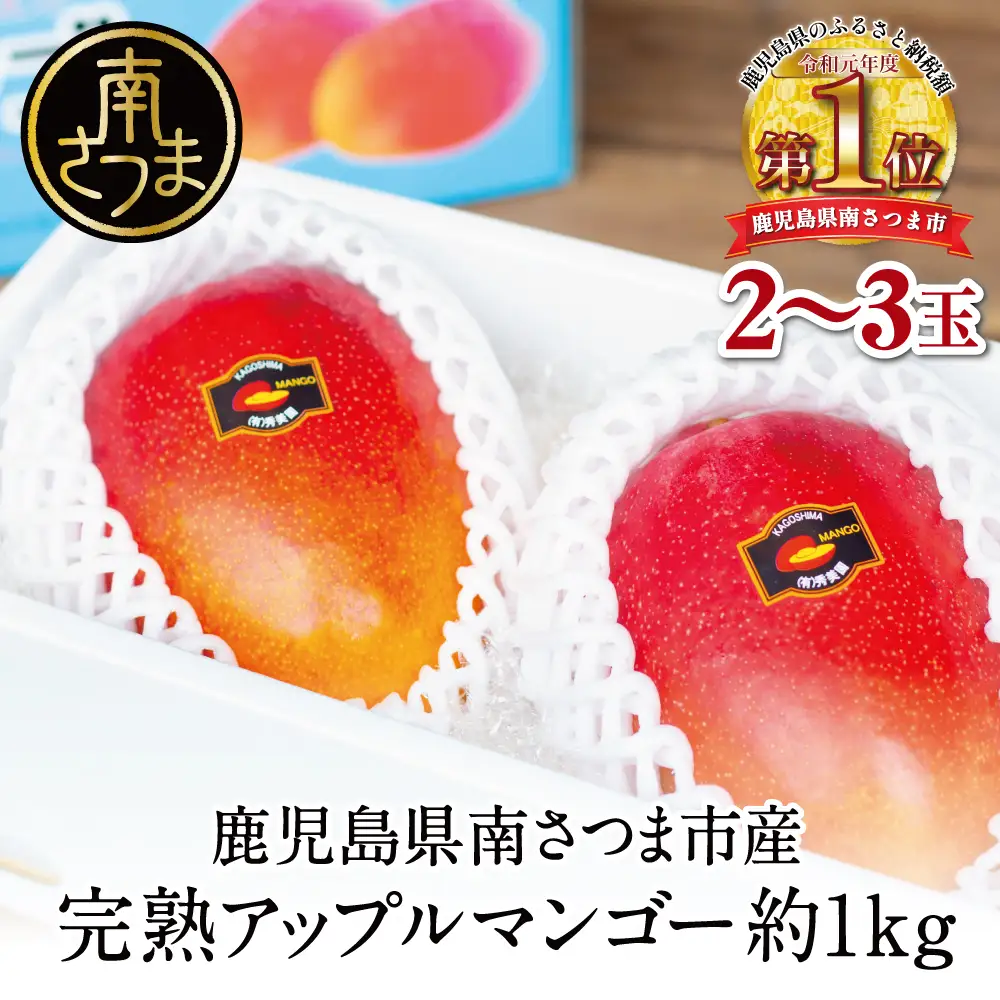 【7月中旬出荷開始】鹿児島県産 完熟アップルマンゴー 約1kg（2～3玉）贈答品用 ギフト 果物 フルーツ 国産 鹿児島県南さつま市産 有限会社秀美園